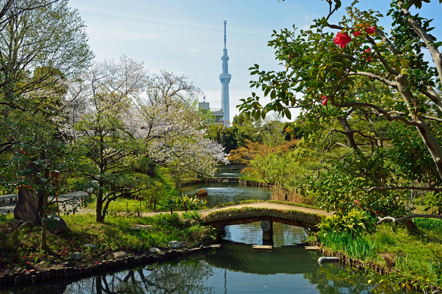 7 Best Japanese Gardens Within Tokyo Tsunagu Japan