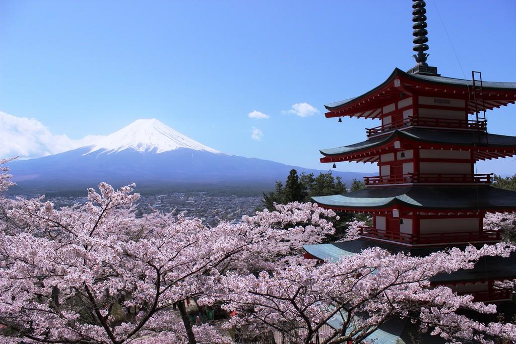 17 Facts You Probably Didn’t Know About Sakura | tsunagu Japan