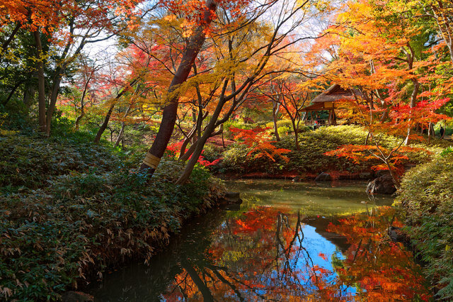 Best Parks in Tokyo: 8 Beautiful Oases to Escape the Big City (2023 ...
