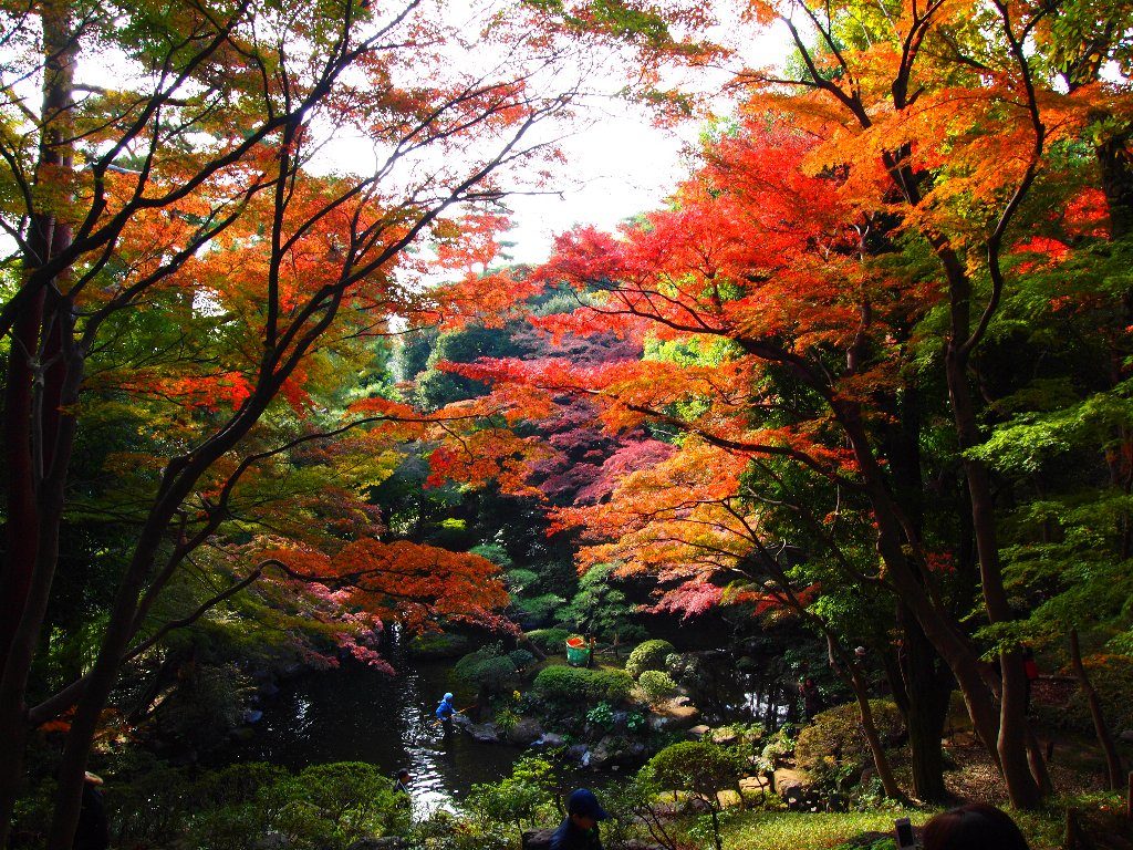 8 Autumn Scenery You Can Find in Tokyo | tsunagu Japan