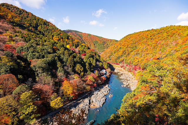 京都自由行 絕景 精選京都8處賞楓景點 Tsunagu Japan 繫日本